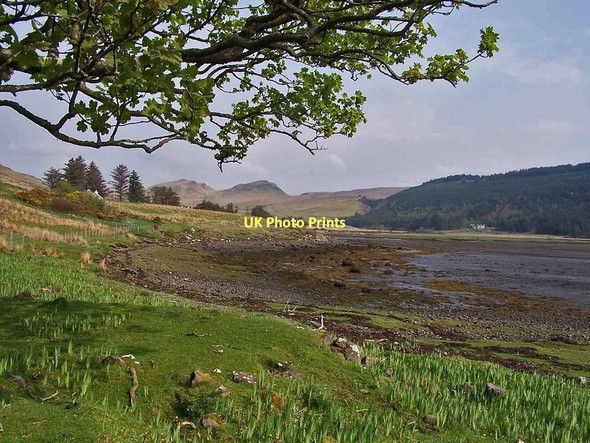 Photo 6"x4" Shore of Loch Eynort Eynort c2011