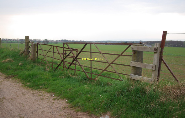 Photo 6"x4" Double Gate Saucher c2011
