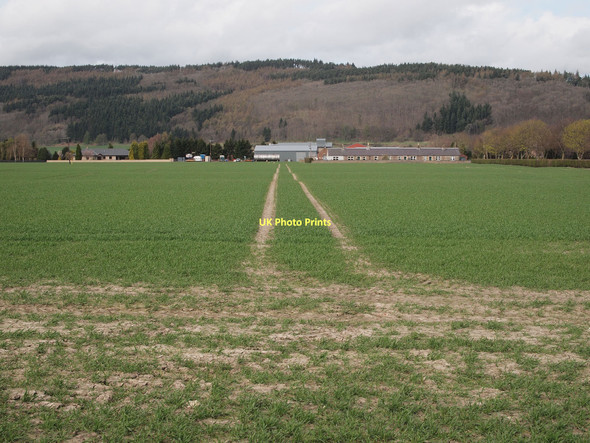 Photo 6"x4" Newly sown field, south of Elliothead Kintillo c2011