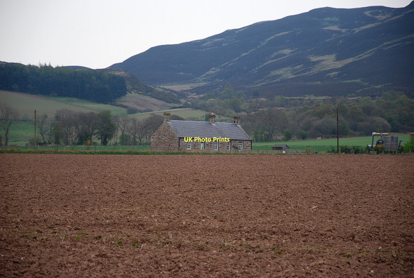 Photo 6"x4" Fairygreen Cottage Saucher c2011
