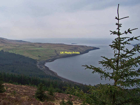 Photo 6"x4" Loch Eynort shore from the forest Eynort c2011