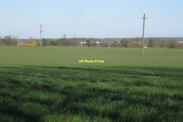 Photo 6"x4" Edge of a field of grass Aldborough\/TG1834 c2011