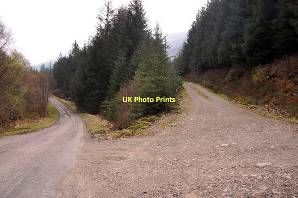 Photo 6"x4" Forestry road joining the public road near Loch Doilet Polloch c2011