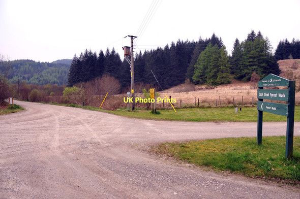 Photo 6"x4" Forestry road to Loch Shiel Polloch c2011