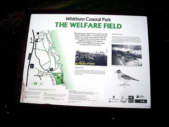 Photo 6"x4" Whitburn Coastal Park Whitburn\/NZ4062 c2011