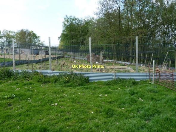 Photo 6"x4" Pheasant pens at Honeypot houses Darley\/SO6899 c2011