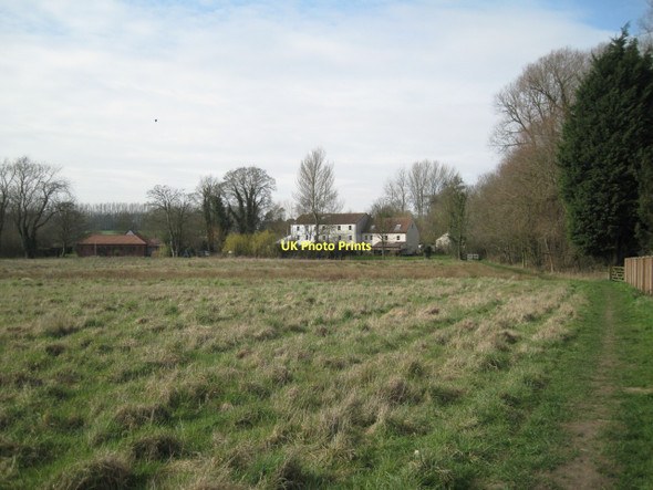 Photo 6"x4" Grassland east of Aldborough Mill Aldborough\/TG1834 c2011