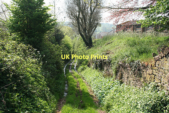 Photo 6"x4" Cullompton: bridleway to Bradninch Common Colebrook c2011
