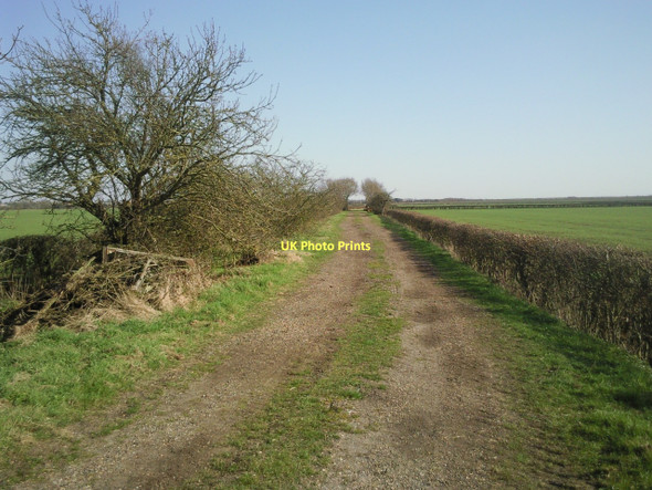 Photo 6"x4" Green Lane near Highfield Cottage Boxworth End c2011