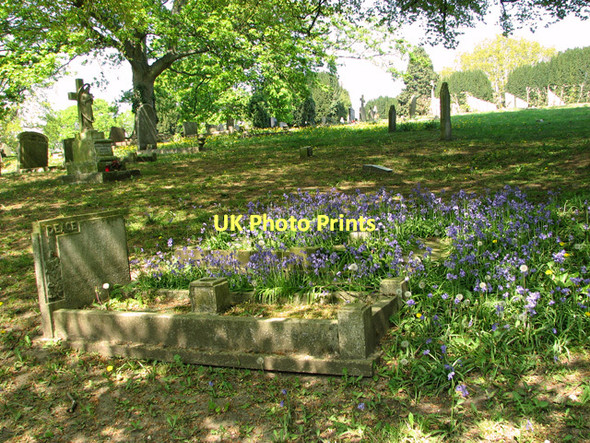 Photo 6"x4" Ipswich Old Cemetery Ipswich c2011