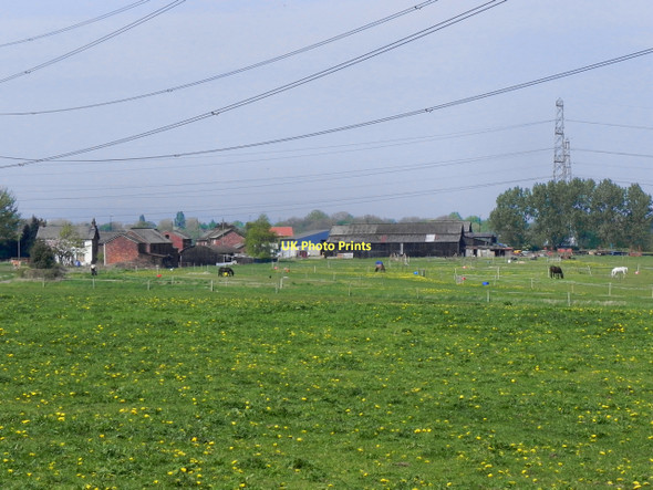 Photo 6"x4" Carrington Moss Urmston c2011
