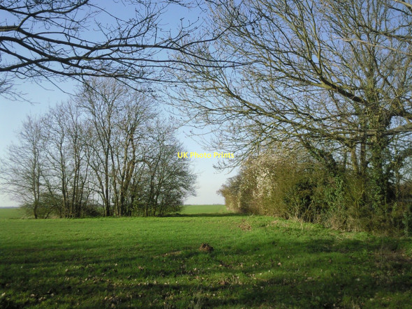 Photo 6"x4" Fields near Barnfield Farm Bluntisham c2011