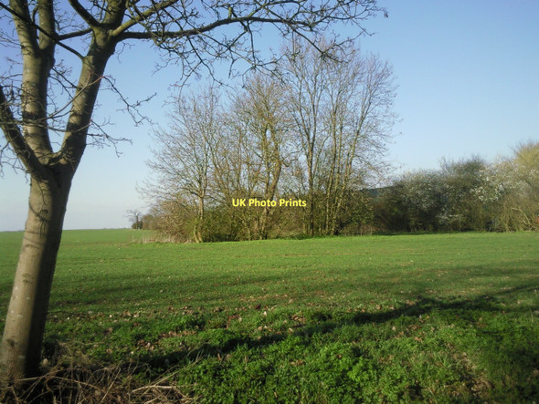 Photo 6"x4" Barnfield Farm Bluntisham c2011