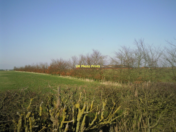 Photo 6"x4" Farmland north of Bridge Farm Bluntisham c2011