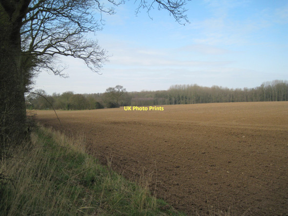 Photo 6"x4" Field east of Alby Hill Alby Hill c2011