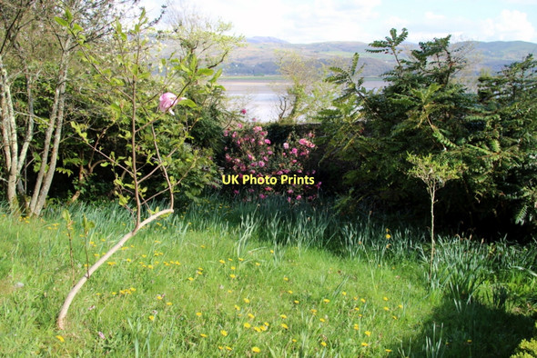 Photo 6"x4" Garden, Portmeirion Minffordd\/SH5938 c2011