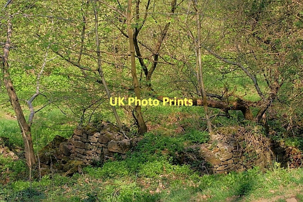 Photo 6"x4" Old Lead Smelting Mill Whashton c2011