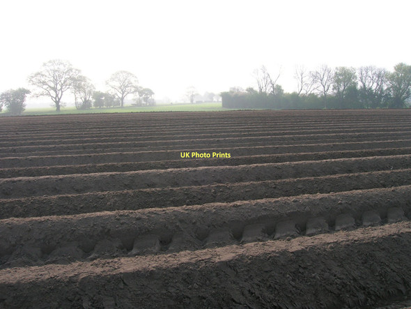 Photo 6"x4" Ploughed field north of Wilberfoss Wilberfoss c2011