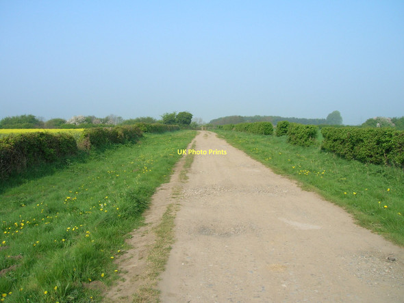 Photo 6"x4" Mask Lane towards the River Derwent Elvington\/SE7047 c2011