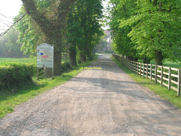 Photo 6"x4" Track to Woodhouse Grange Newton upon Derwent c2011