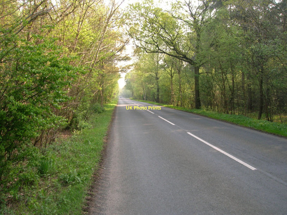 Photo 6"x4" Minor road through Allerthorpe Common Thornton\/SE7545 c2011