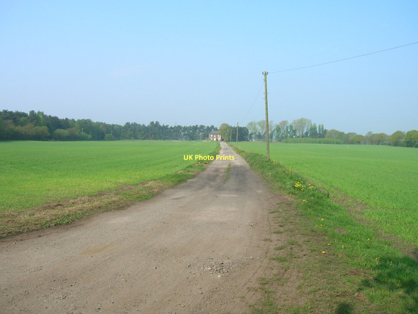 Photo 6"x4" Track to Westfield Farm Barmby Moor c2011