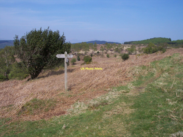 Photo 6"x4" Footpath sign near Rusland Heights Rushland Cross c2011
