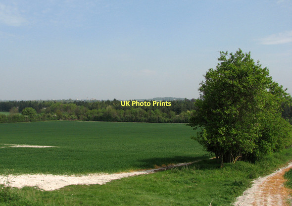 Photo 6"x4" A view towards Cambridge Little Shelford c2011