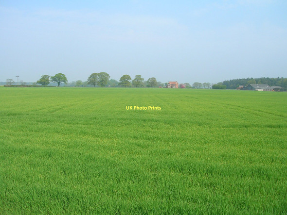 Photo 6"x4" Farmland near Kexby Kexby\/SE7051 c2011