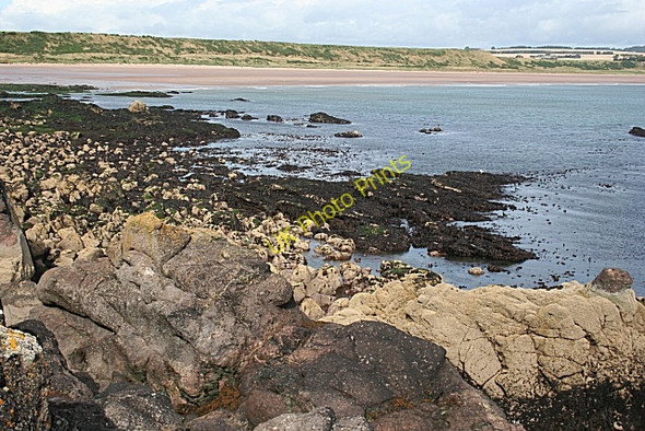 Photo 6"x4" Ethie Lavas Inverkeilor c2009