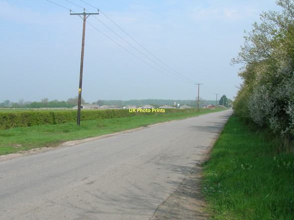 Photo 6"x4" Long Lane heading north towards Low Catton Kexby\/SE7051 c2011