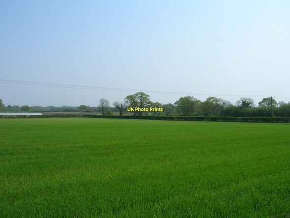 Photo 6"x4" Farmland, Helmsley Common Gate Helmsley c2011