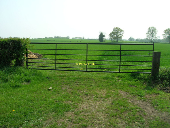 Photo 6"x4" Gated field entrance near Warthill Moor End\/SE6656 c2011