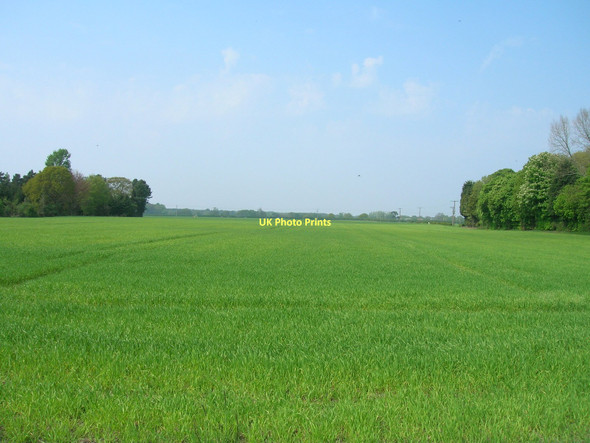 Photo 6"x4" Farmland near Stockton on the Forest Moor End\/SE6656 c2011