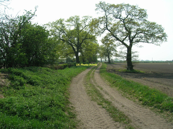 Photo 6"x4" Track to Holtby Grange Dunnington\/SE6652 c2011
