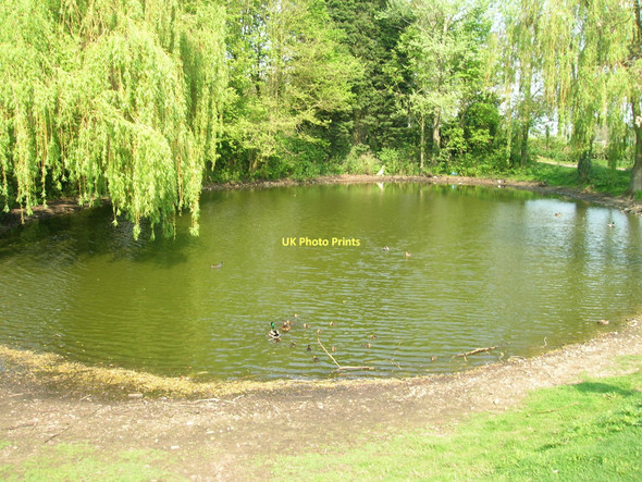 Photo 6"x4" Duck pond, Warthill Warthill\/SE6755 c2011