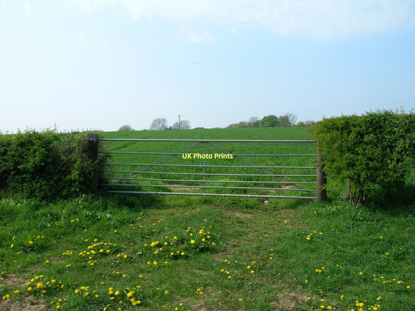 Photo 6"x4" Field entrance off the A166 Holtby c2011