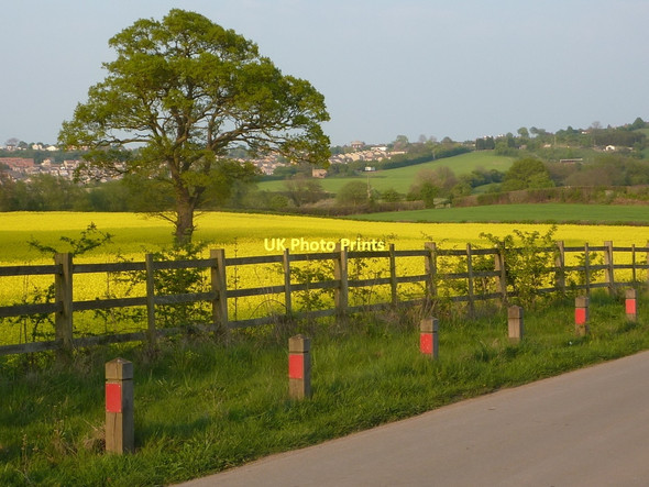 Photo 6"x4" Field by Carr Lane Bolsover c2011