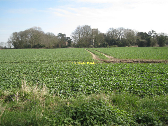 Photo 6"x4" Alby Church from the west Alby Hill c2011