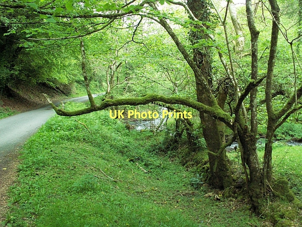 Photo 6"x4" Narrow road beside the East Water Luccombe\/SS9144 c2007