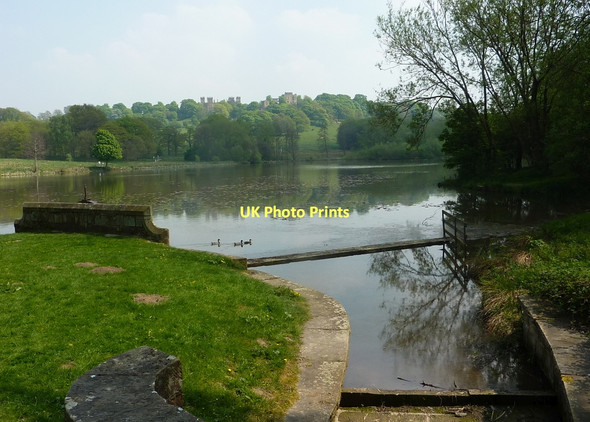 Photo 6"x4" Great Pond, Hardwick Hall Hardstoft c2011