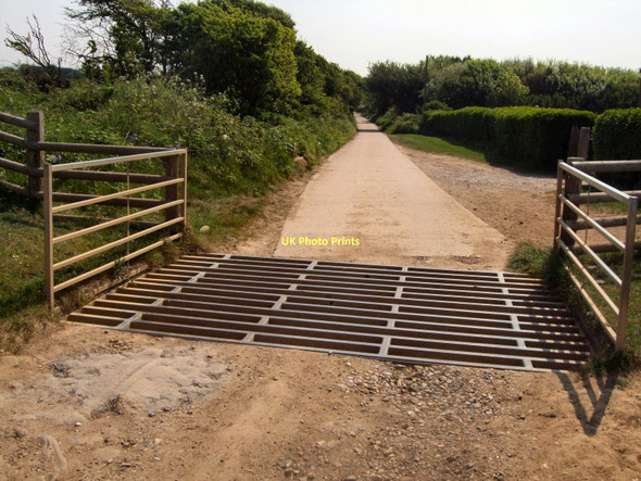 Photo 6"x4" Cattle Grid on Track to Telscombe Telscombe c2011