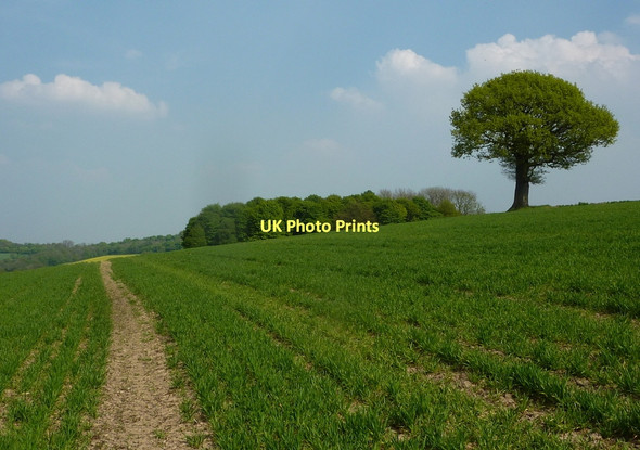 Photo 6"x4" Footpath towards Astwith Lane Astwith c2011