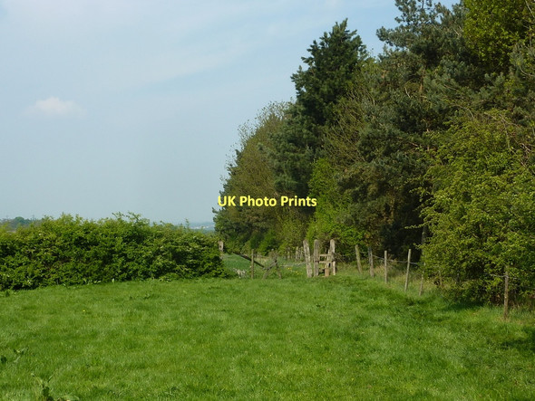 Photo 6"x4" Footpath by woodland Astwith c2011