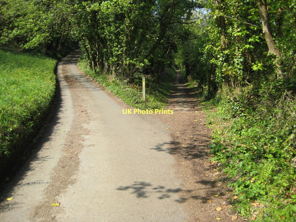 Photo 6"x4" South West Coast Path approaching Cawsand Cawsand c2011