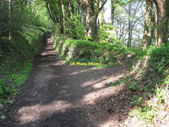 Photo 6"x4" Coast path south of Cawsand Cawsand c2011