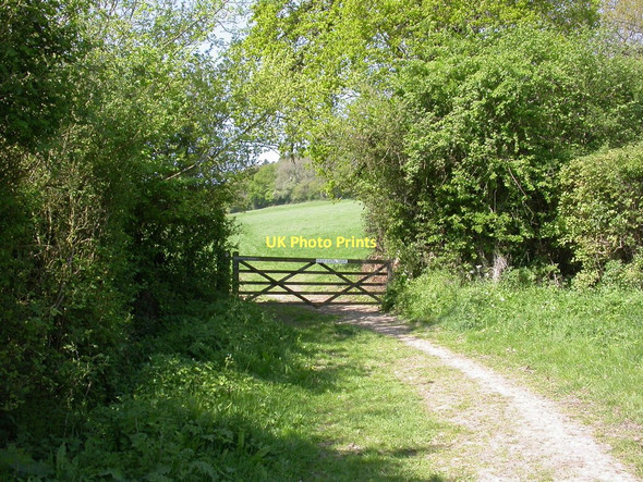 Photo 6"x4" East Stour, gate Stour Row c2011