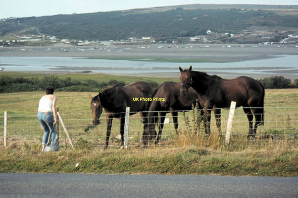 Photo 6"x4" Cardigan, Ceredigion - 1984 Cardigan\/Aberteifi c1984