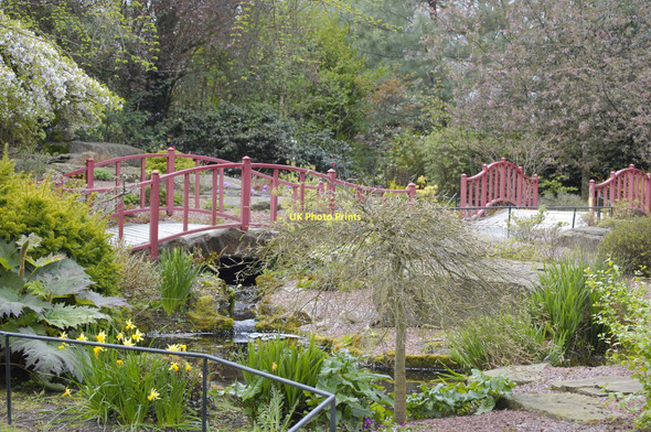 Photo 6"x4" Japanese Garden, Chester Zoo Moston\/SJ4070 c2011
