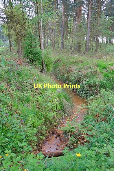 Photo 6"x4" Ditch, Wheldrake Wood Crockey Hill c2011
